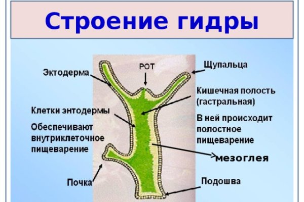 Ссылка на кракен kr2web in