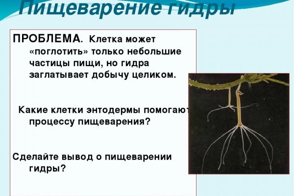 Ссылки на кракен at