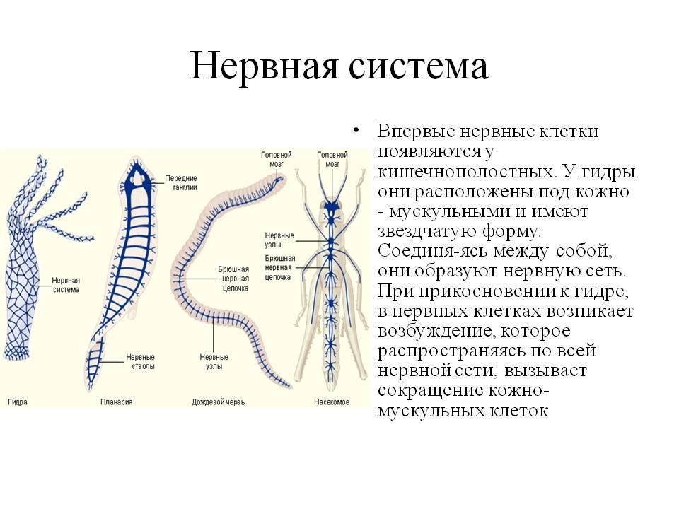 Как выйти на кракен